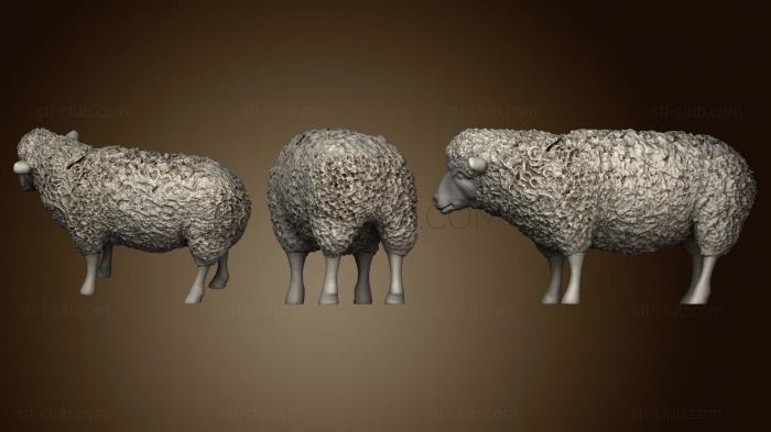 3D model Sheep 9 (STL)